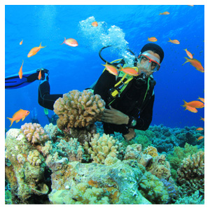 scuba-diving